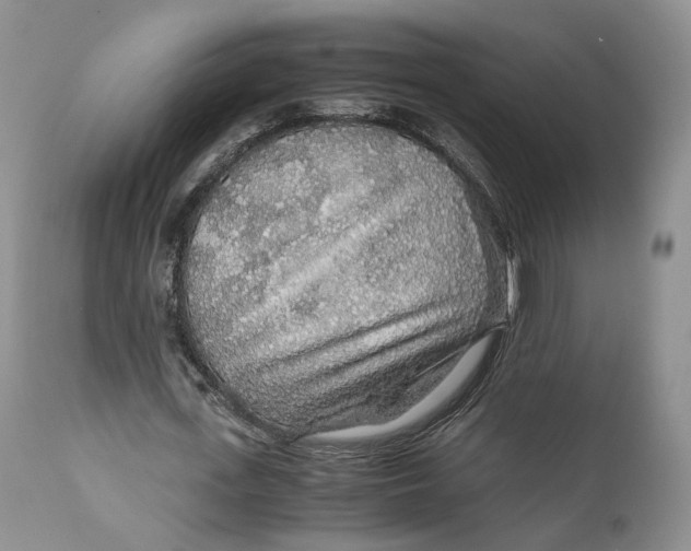 X0000110930723200907091520