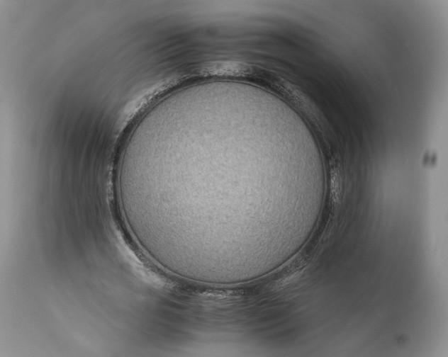 X0000110930725200907091520