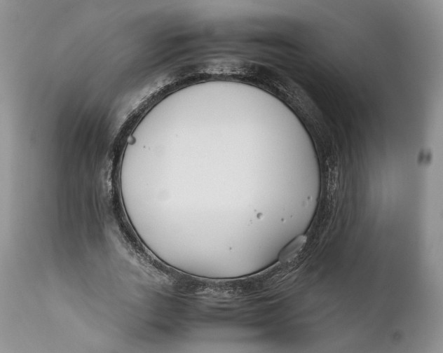 X0000110930727200907091520