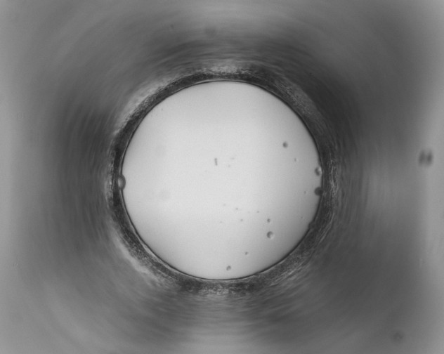 X0000110930728200907091520
