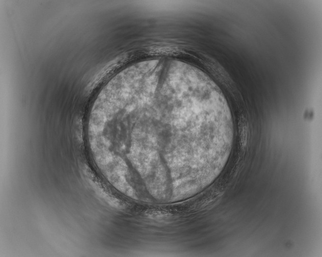 X0000110930729200907091520