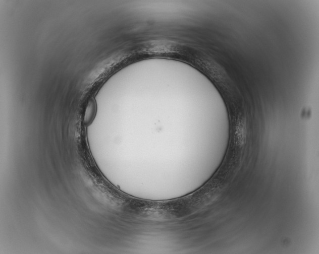 X0000110930732200907091520
