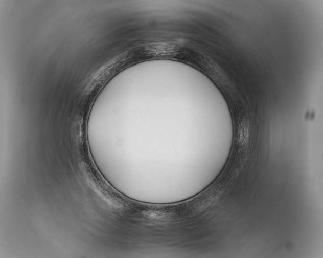 X0000110930733200907091520