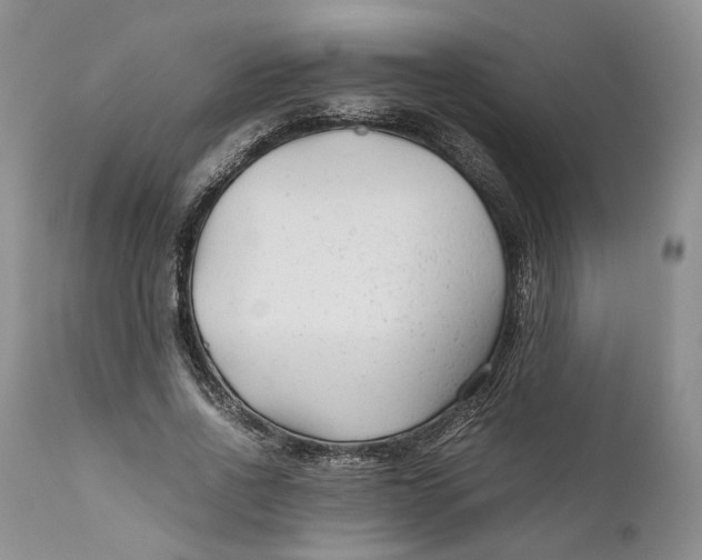 X0000110930734200907091520
