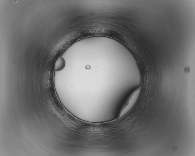 X0000110930735200907091520