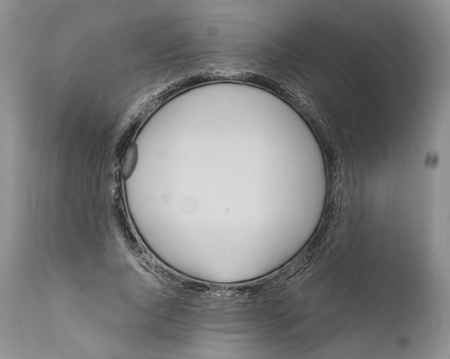 X0000110930736200907091520
