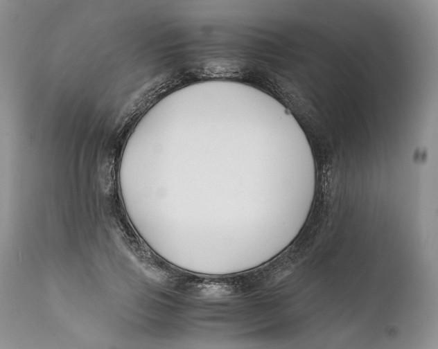 X0000110930741200907091520