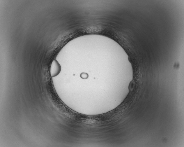 X0000110930743200907091520
