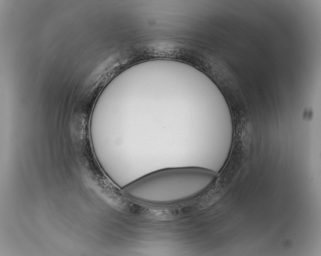 X0000110930744200907091520