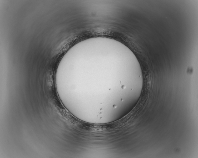 X0000110930746200907091520