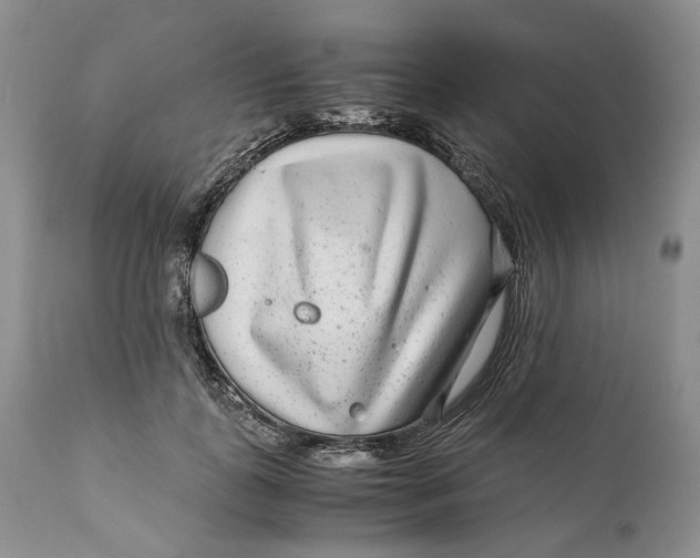 X0000110930747200907091520