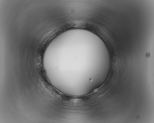 X0000110930748200907091520