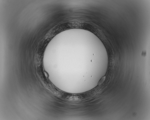 X0000110930751200907091520