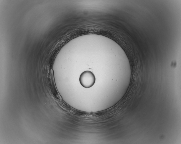 X0000110930752200907091520