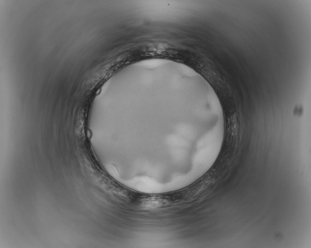 X0000110930754200907091520
