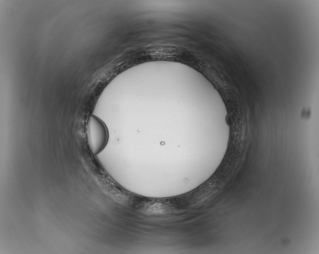 X0000110930755200907091520