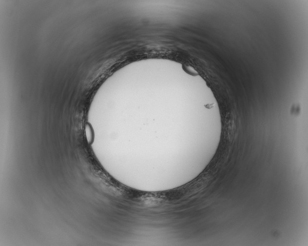 X0000110930756200907091520