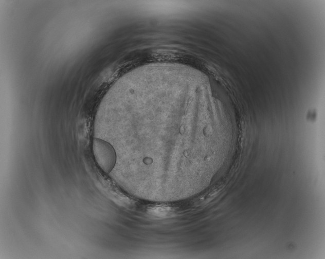 X0000110930759200907091520