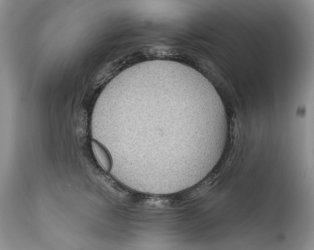 X0000110930760200907091520