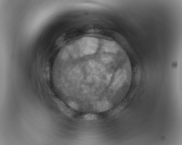 X0000110930762200907091520