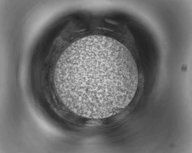 X0000110930765200907091520