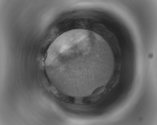 X0000110930766200907091521