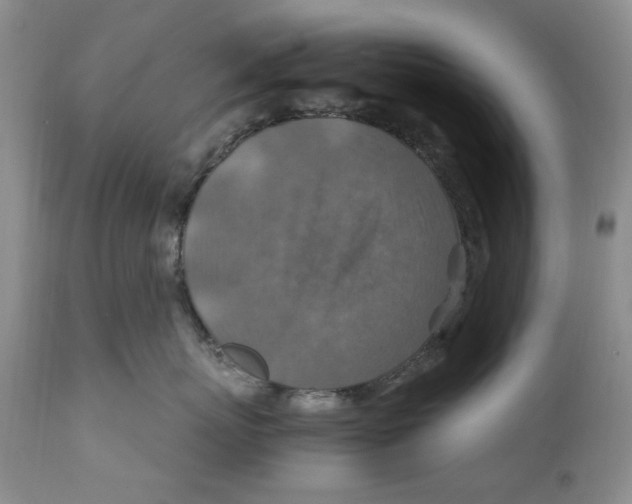X0000110930767200907091521