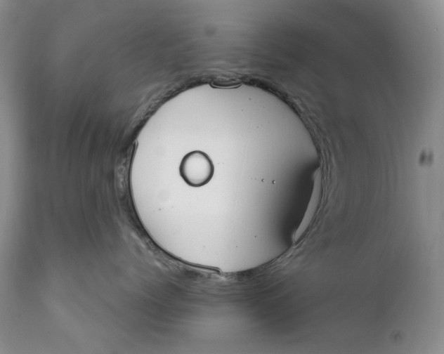 X0000110930768200907091521