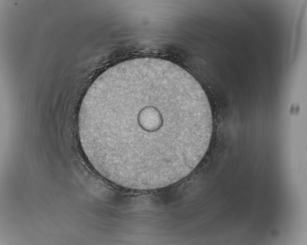 X0000110930769200907091520