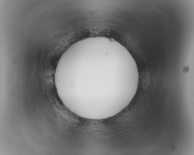 X0000110930770200907091520