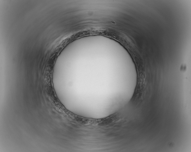 X0000110930773200907091520