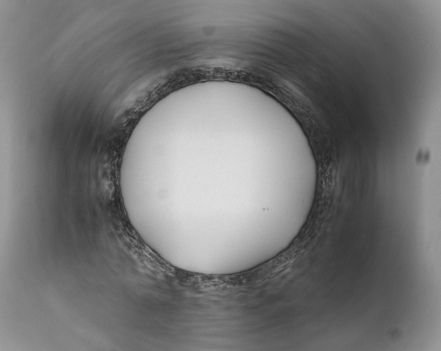 X0000110930774200907091520