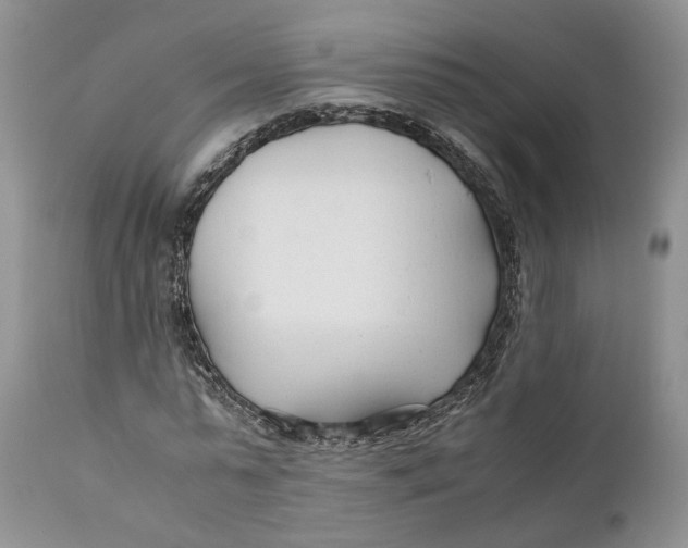 X0000110930775200907091520