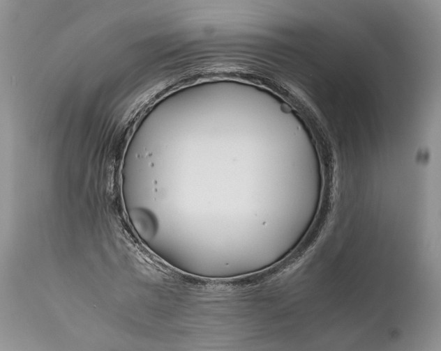 X0000110930777200907091520