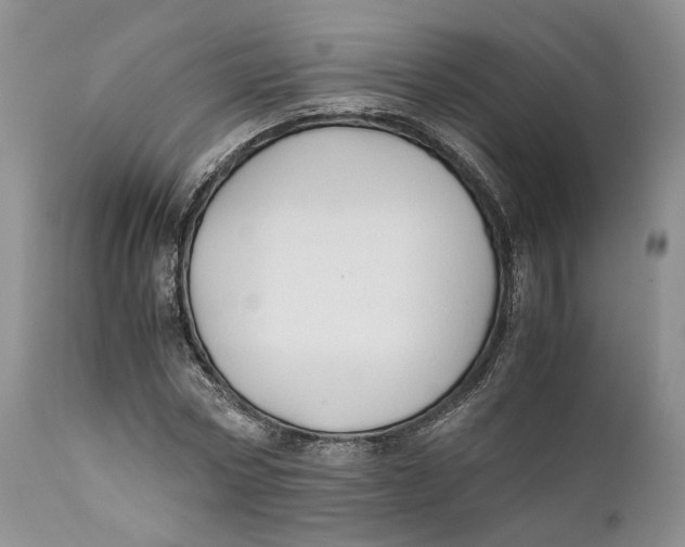 X0000110930778200907091520