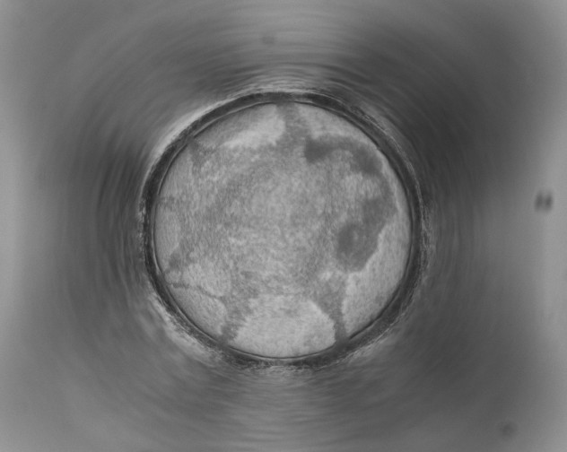 X0000110930779200907091520