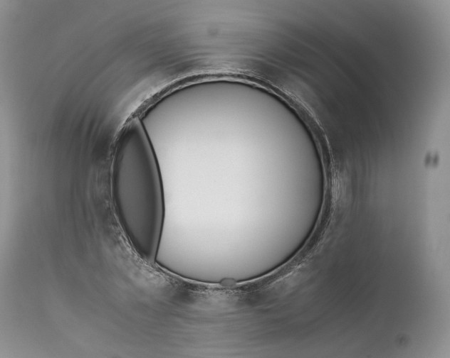 X0000110930781200907091520