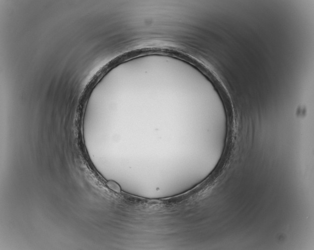 X0000110930783200907091519