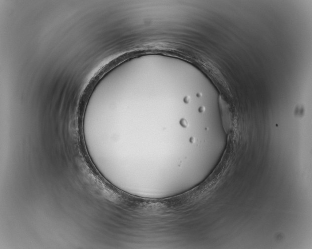 X0000110930784200907091519
