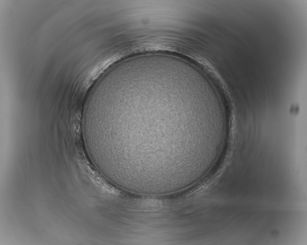 X0000110930785200907091519