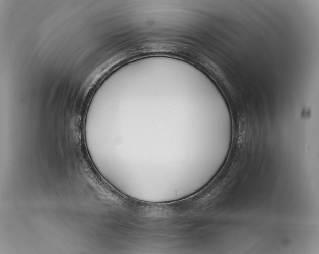 X0000110930786200907091519