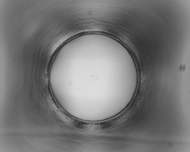 X0000110930789200907091519