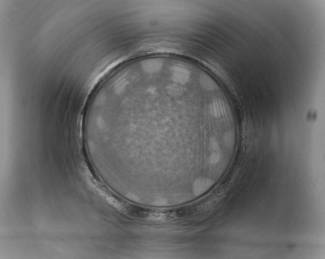 X0000110930790200907091519