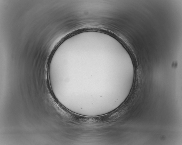 X0000110930791200907091519