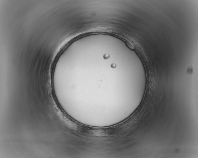 X0000110930792200907091519