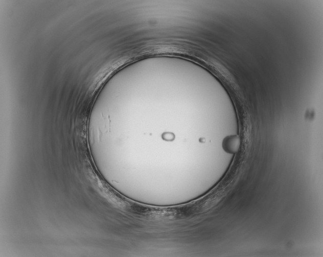 X0000110930793200907091519