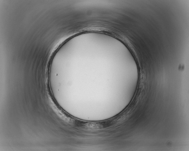 X0000110930795200907091519