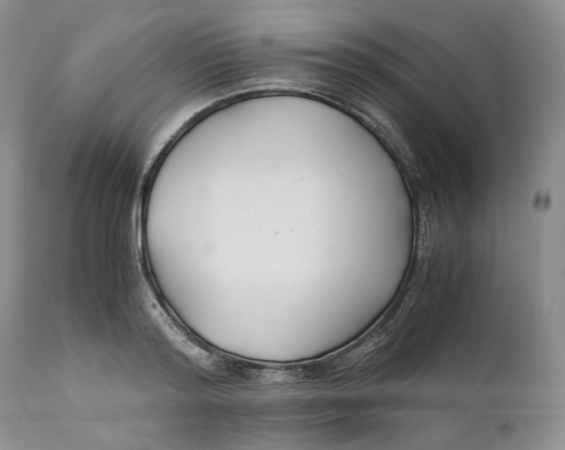 X0000110930796200907091519