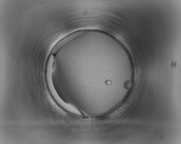 X0000110930797200907091519