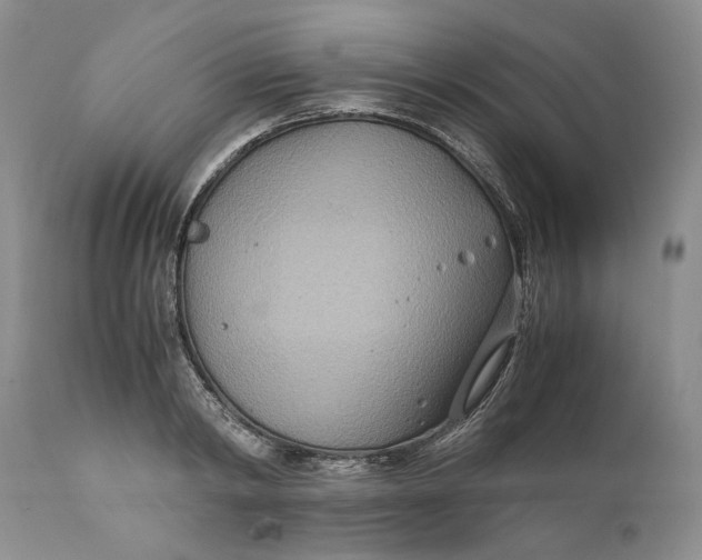 X0000110930798200907091519
